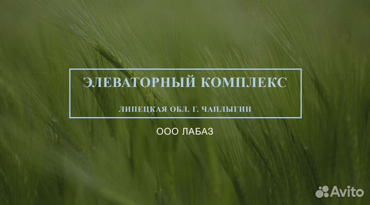 Системный администратор на элеватор