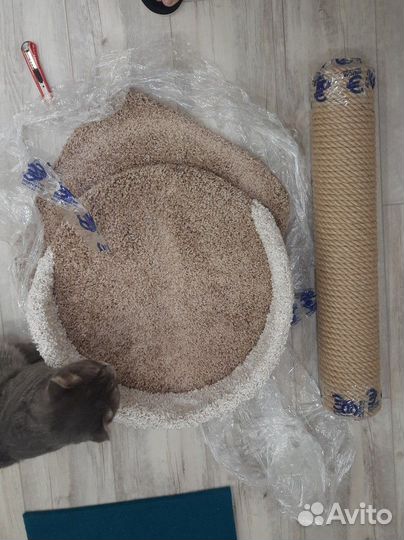 Когтеточка лежанка трон)