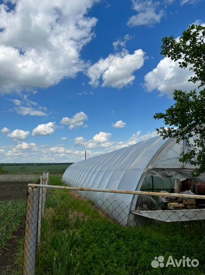 Продам теплицу промышленную