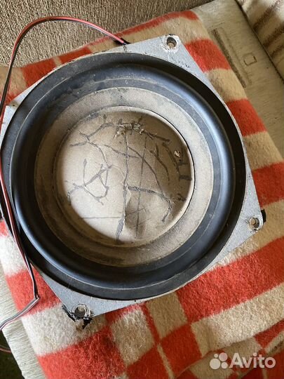 Динамики 75 гдн