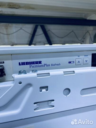 Встраиваемый Холодильник без морозилки