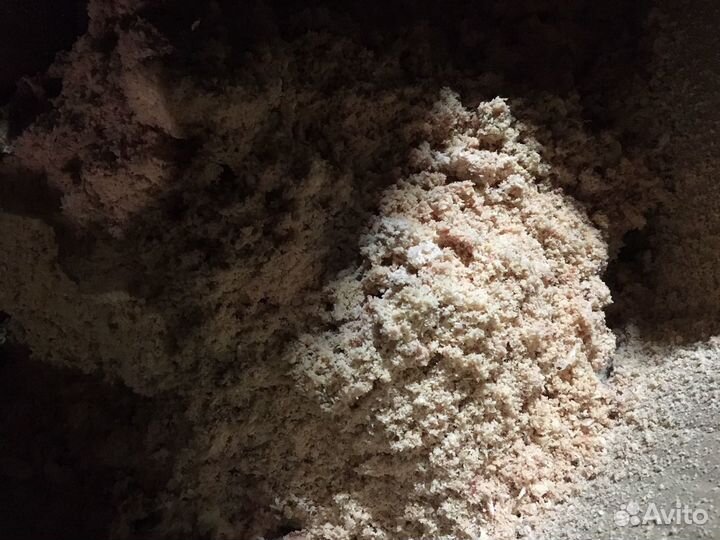 Измельчитель костей костедробилка