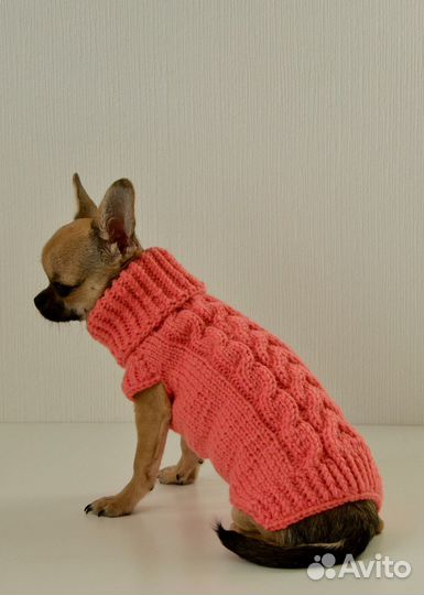 Свитер для собаки