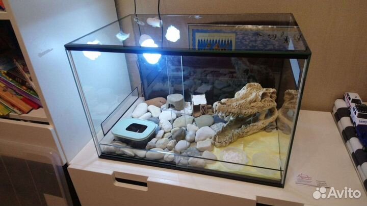 Террариум для гекконов