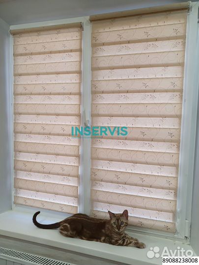 Зебра день ночь