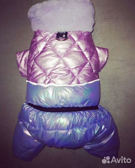 Одежда для собак