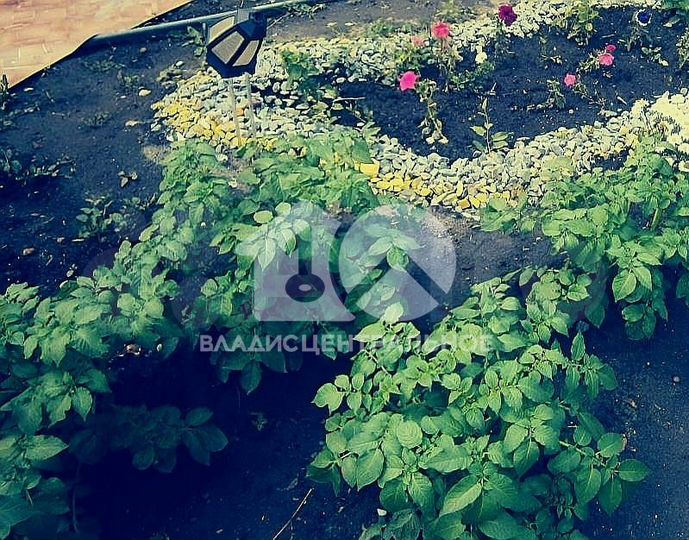 Дом 46,8 м² на участке 3,5 сот.