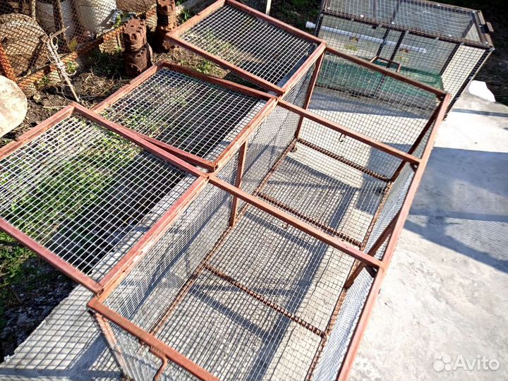 Клетка для цыплят