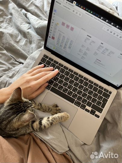 Котёнок (девочка) ищет дом