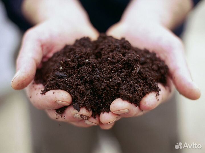 Торф с доставкой. Барвиха