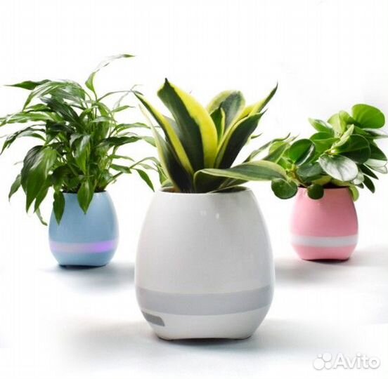 Цветочный горшок