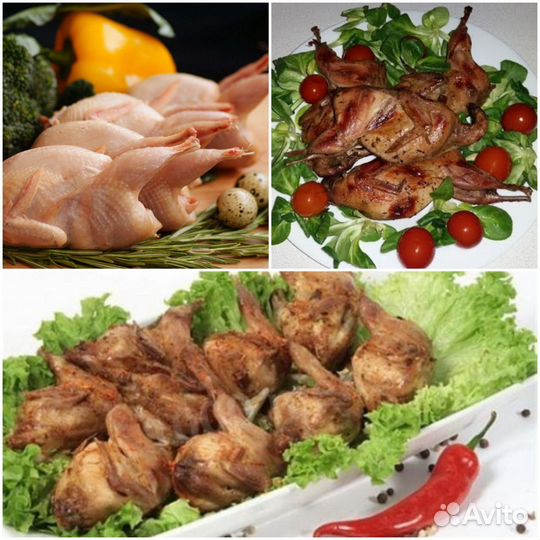 Мясо перепелов