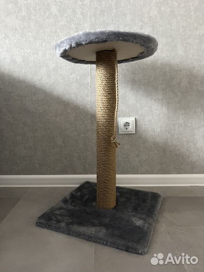 Когтеточка