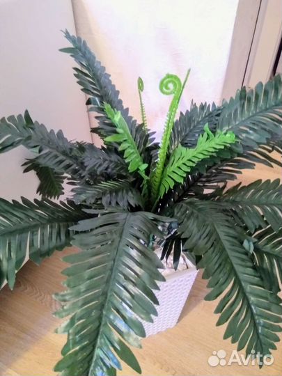 Папоротник искусственный