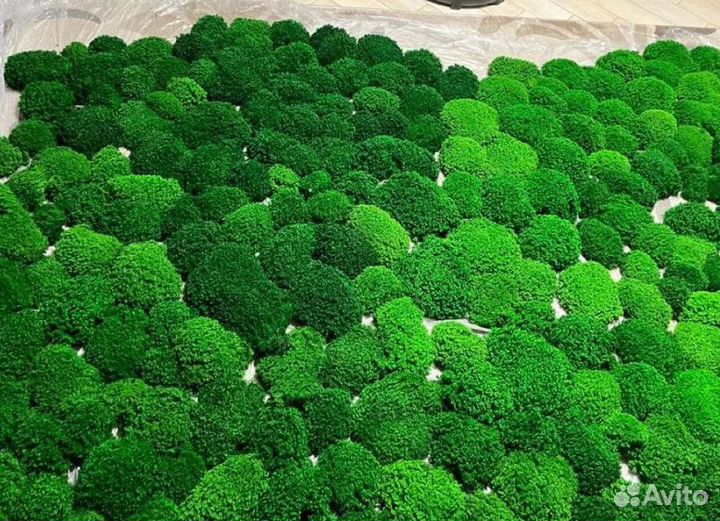 Премиальные кочки королевского мха мох для декора