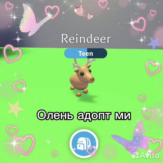 Адопт ми олень
