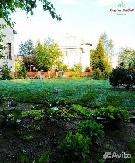 Рулонный газон art/984z