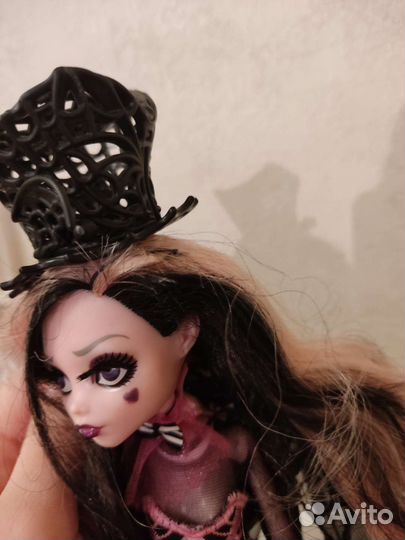 Коллекционная Дракулаура