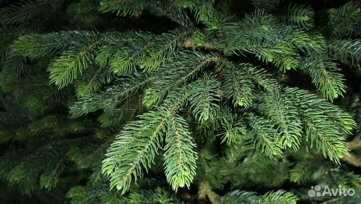 Елка искусственная 2.15 литая+пвх Black Box