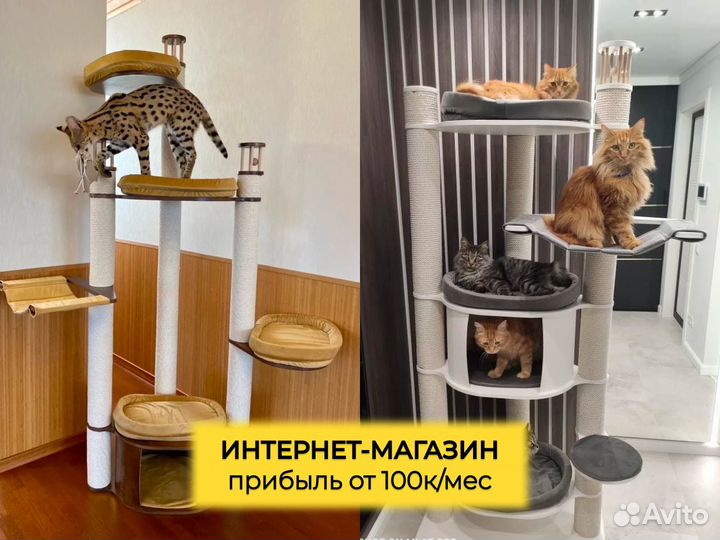 Готовый агентский бизнес. Чистыми от 100к/мес