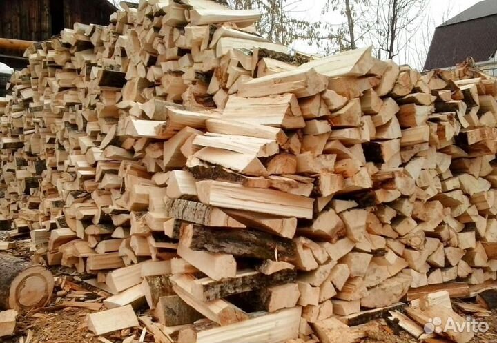 Дрова Береза