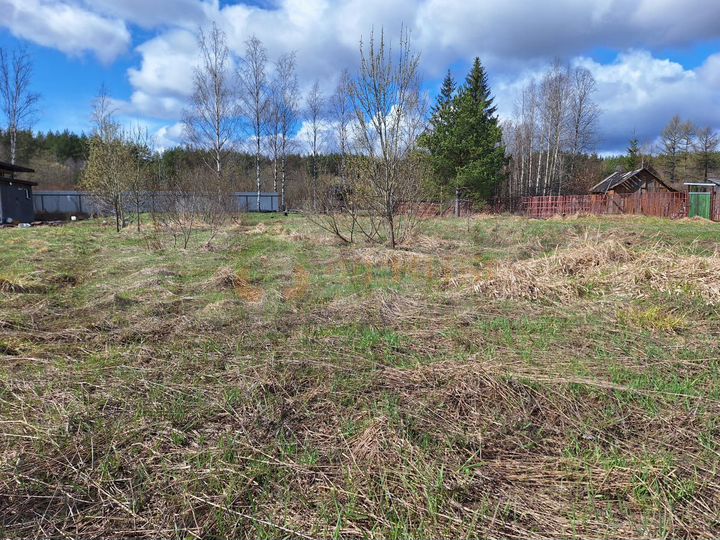 Участок 10,7 сот. (ИЖС)