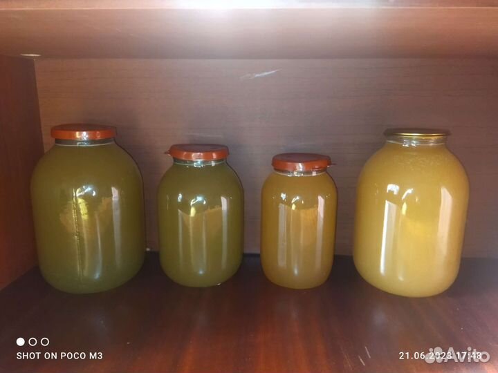 Майский Мёд 2023. акация рапс