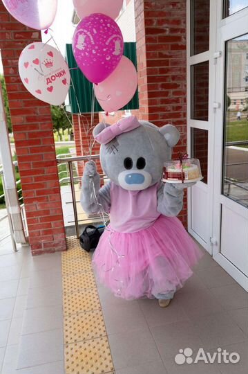 Экспресс поздравление мишки Тедди