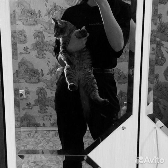 Удаленная работа