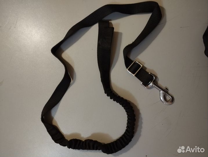 Потяг для каникросса (бега с собакой)