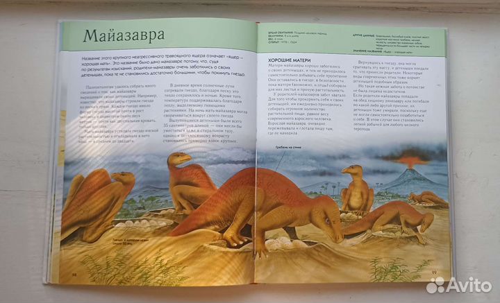 Энциклопедия