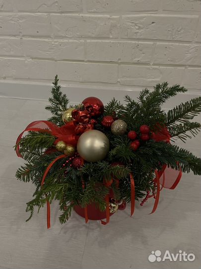 Новогодняя композиция из нобилиса