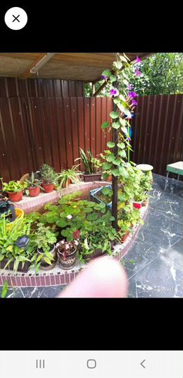 Комната 12 м² в 5-к., 1/2 эт.