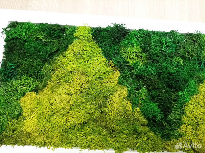 Панно картина со стабилизированным мхом Геометрия