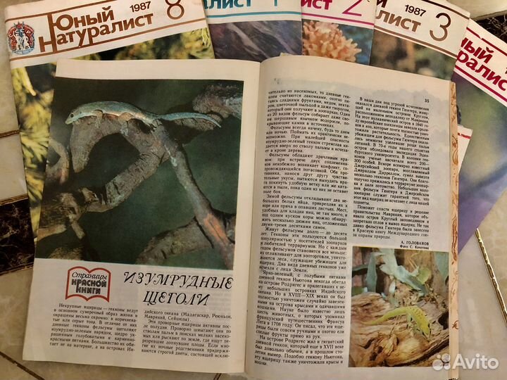 Журналы Юный Натуралист 1987 г; Шишки-розочки