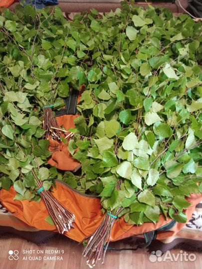 Березовые веники