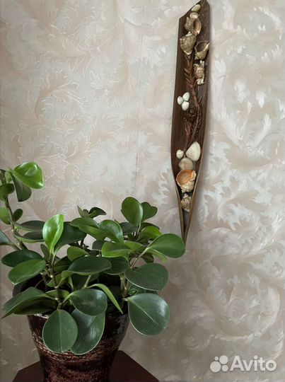 Настенный декор СССР