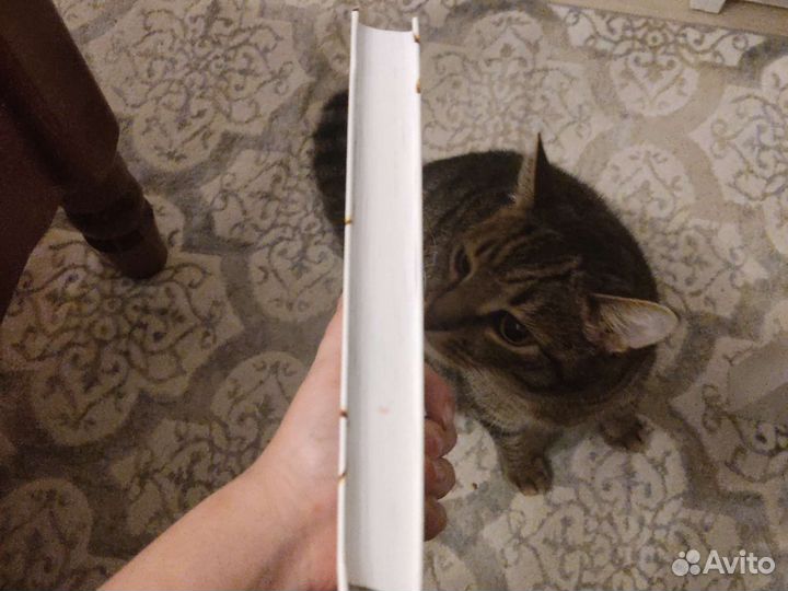 Жестокий принц