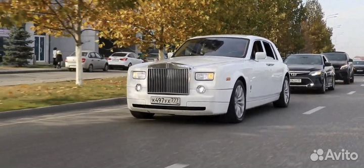 Видеограф, оператор, свадьба, фотограф