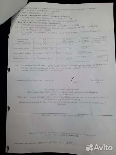 Мед натуральный 2023 года