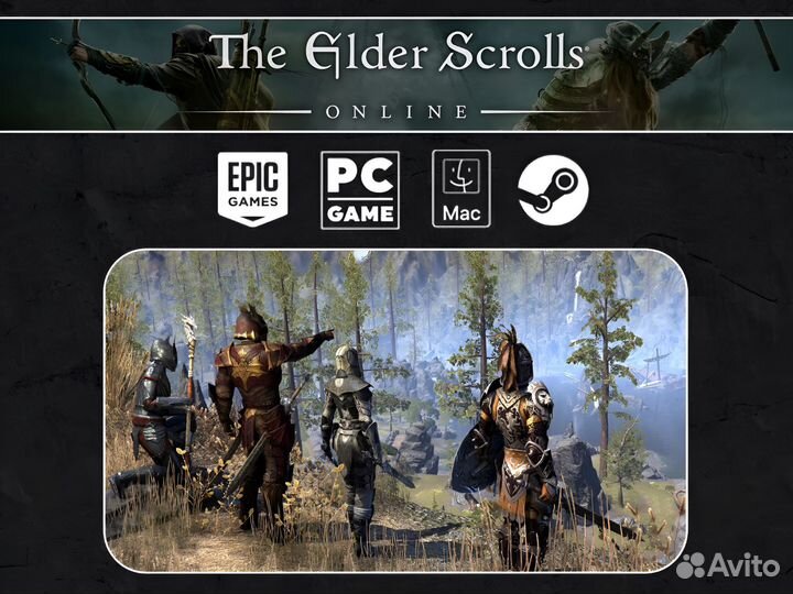 Комплект дополнений Гильдии и слава (teso)