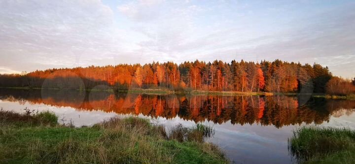 Участок 38 сот. (ИЖС)