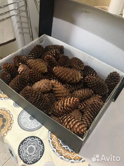 Шишки еловые
