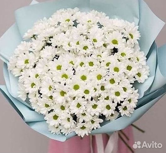 Хризантема Букеты с доставкой