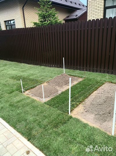 Рулонный газон 