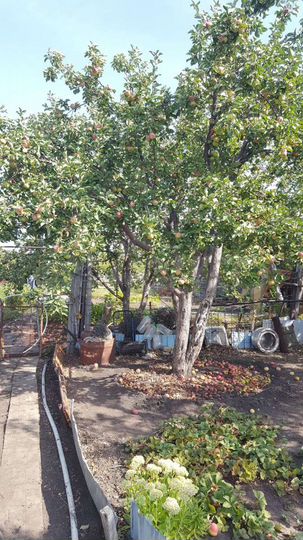 Дача 20 м² на участке 8 сот.