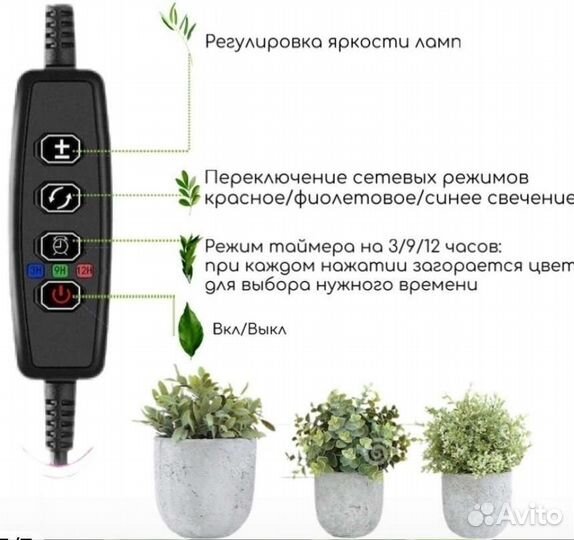 Фитолампа для растений