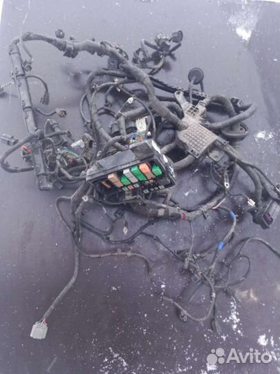 Проводка подкапотная Kia Rio 4