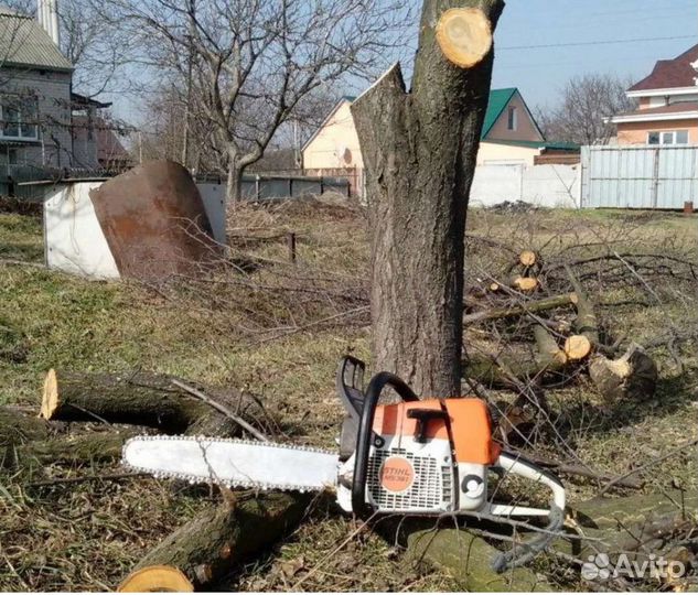 Спил деревьев с вывозом