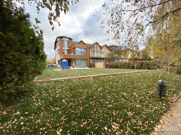 Рулонный газон 